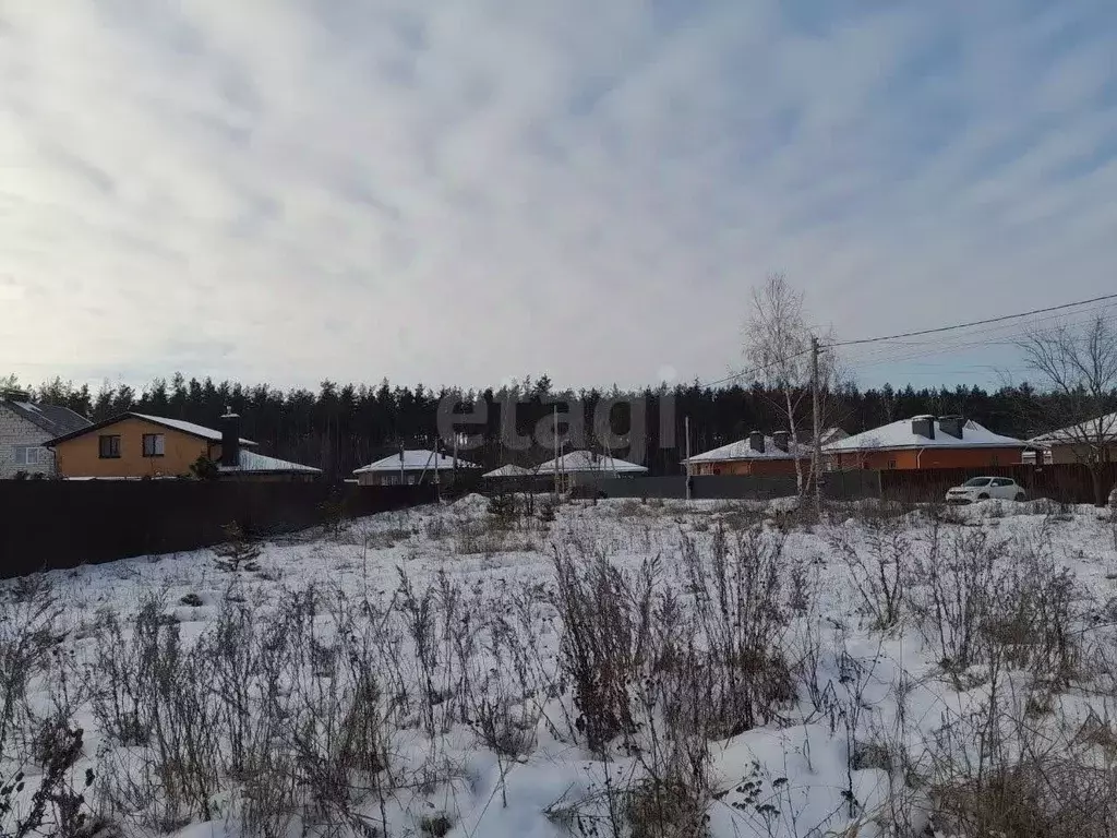 Участок в Воронежская область, Новоусманский район, Отрадненское ... - Фото 1