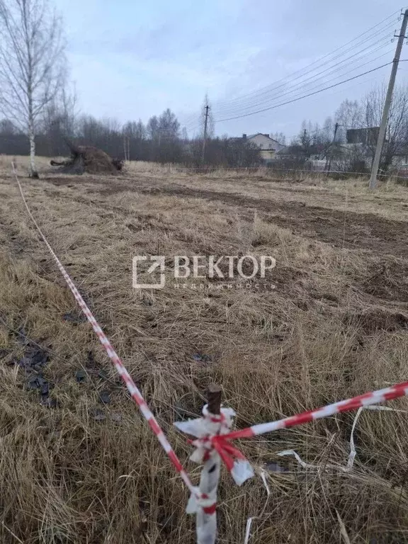 Участок в Костромская область, Красное-на-Волге пгт ул. Зеленая (10.0 ... - Фото 1