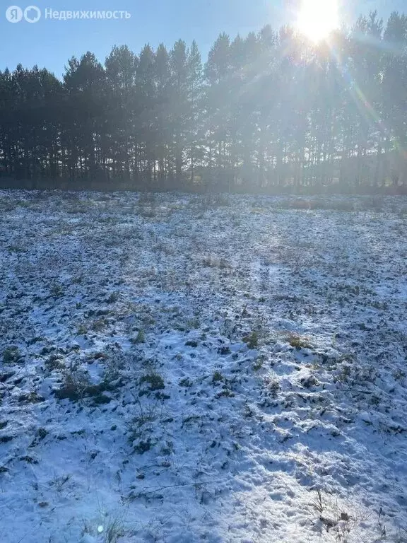Участок в Тарский район, Заливинское сельское поселение, деревня ... - Фото 2