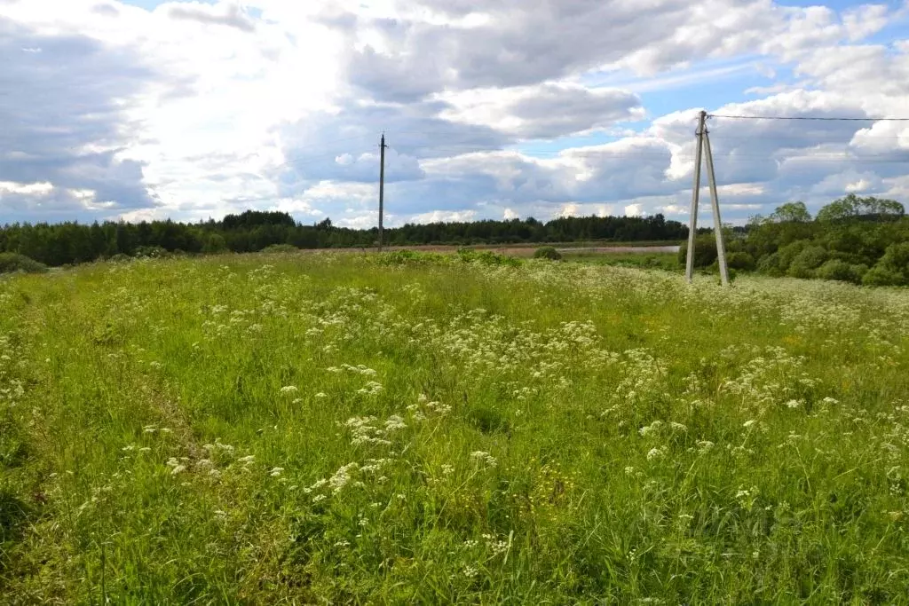 Участок в Тверская область, Осташковский городской округ, пос. ... - Фото 0