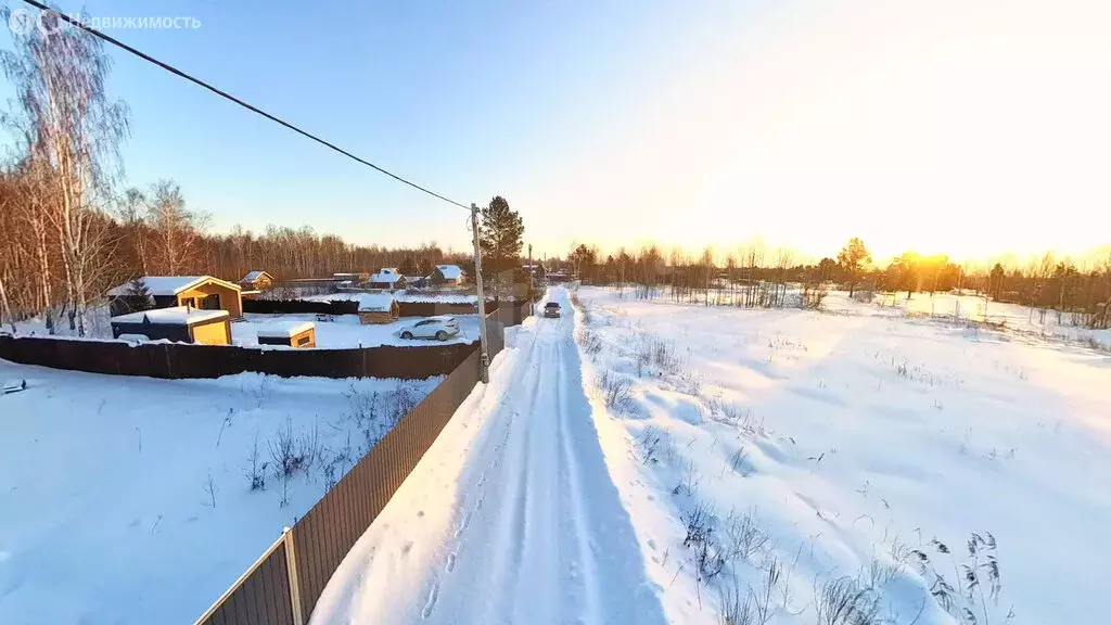Участок в Тюменский муниципальный округ, СНТ Маяк, Сосновая улица ... - Фото 1