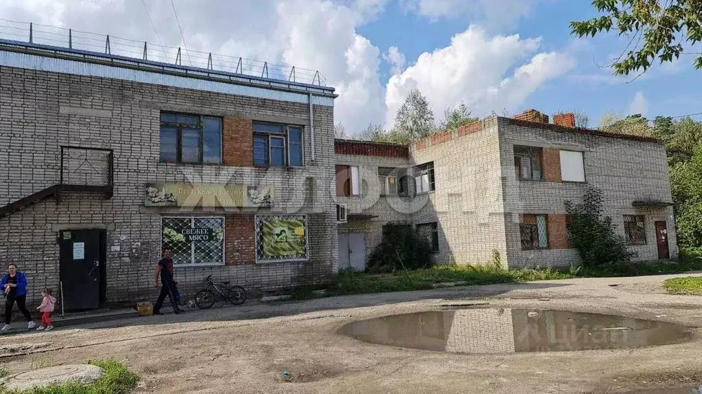 Участок в Новосибирская область, Новосибирский район, Барышевский ... - Фото 2