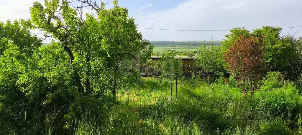 Участок в Ставропольский край, Ставрополь Превосходное садовое ... - Фото 0