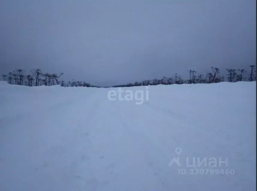 Участок в Пермский край, Пермский муниципальный округ, с. Курашим  ... - Фото 1