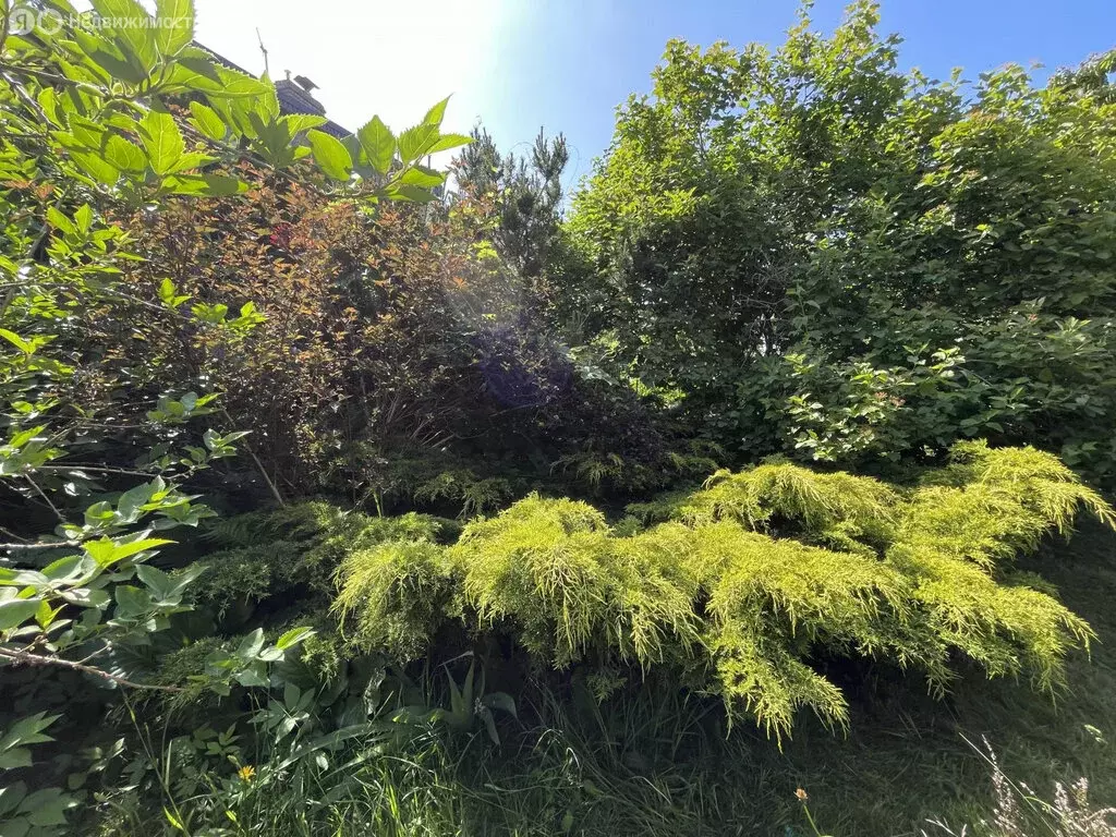 Дом в Балтийск, СНТ Балтийская Дружба, 4-я Гвардейская улица (100 м) - Фото 2