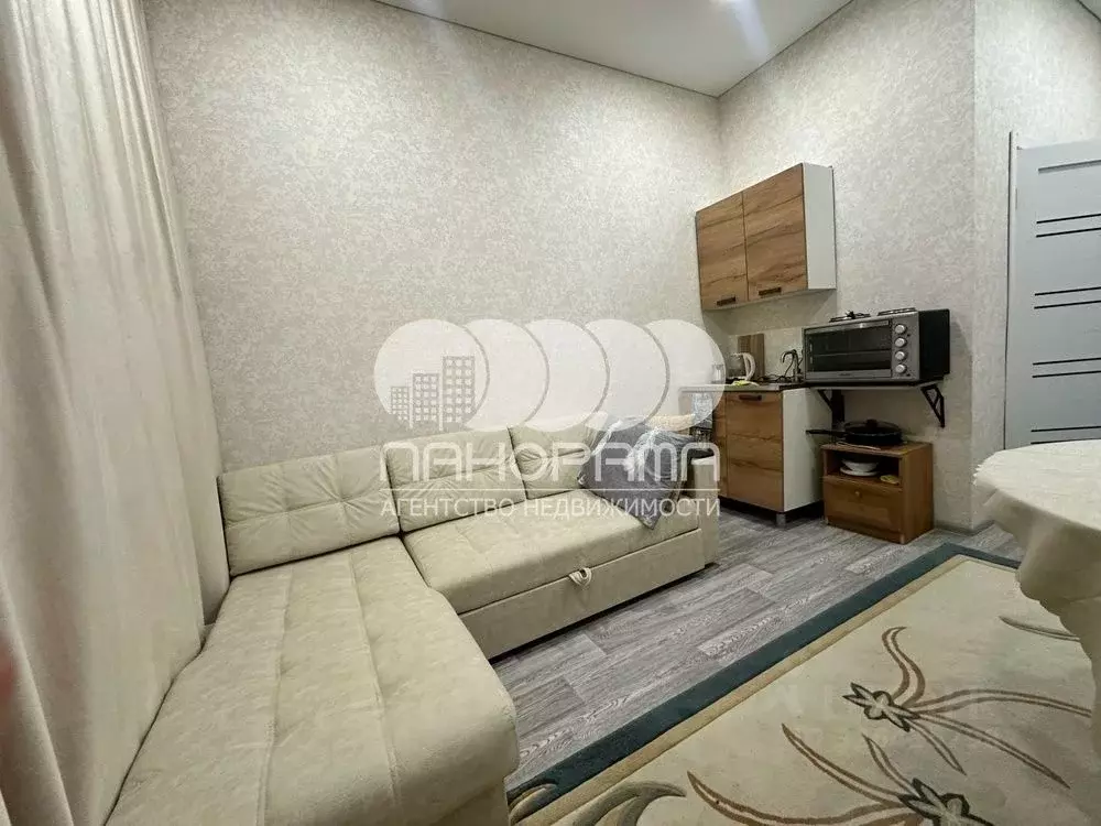 Студия Краснодарский край, Анапа ул. Мирная, 29к3 (17.3 м) - Фото 2