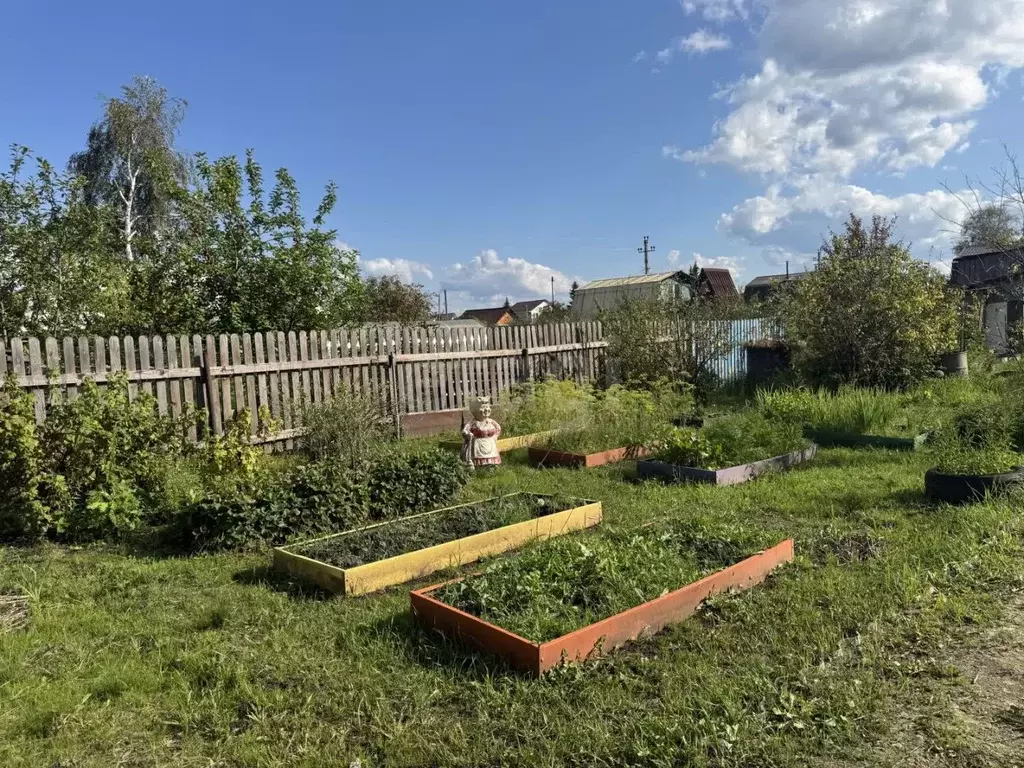 Участок в Тюменская область, Тюмень Изобилие СНТ, ул. Лесная (5.11 ... - Фото 1