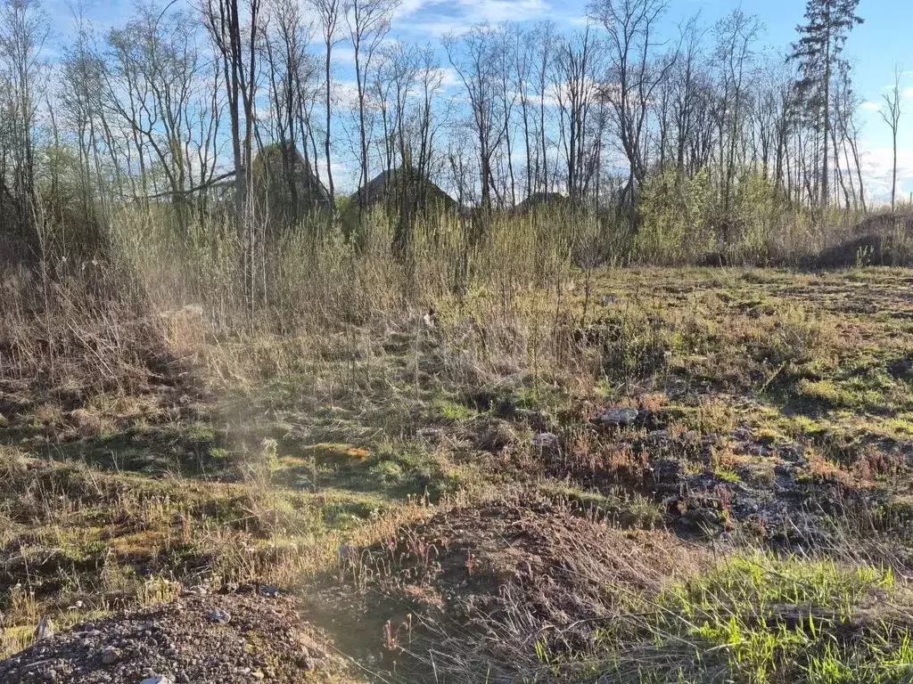 Участок в Вологодская область, Череповец 36-й мкр,  (6.67 сот.) - Фото 1