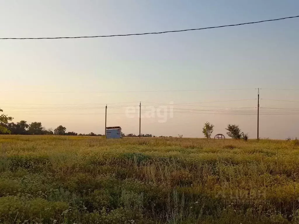 участок в воронежская область, борисоглебский городской округ, с. . - Фото 0