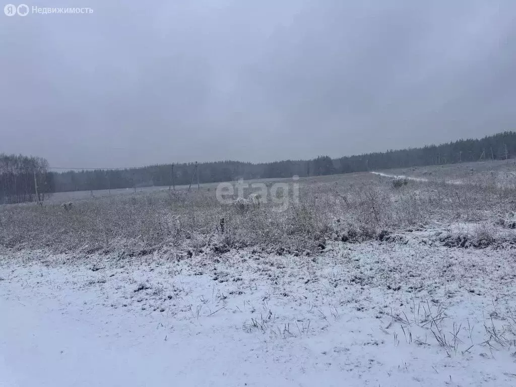 Участок в Нижегородская область, Балахнинский муниципальный округ, ... - Фото 1