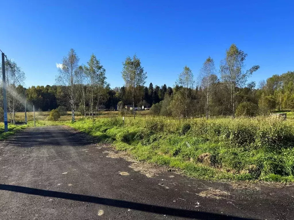 Участок в Московская область, Дмитровский муниципальный округ, Форест ... - Фото 2