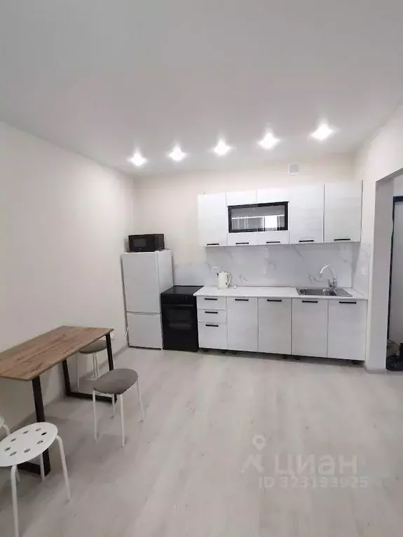 Студия Новосибирская область, Новосибирский район, Мочищенский ... - Фото 2