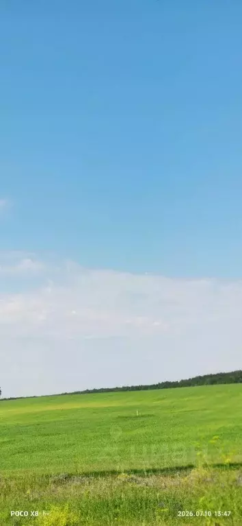 Участок в Челябинская область, Чебаркуль ул. Соловьиная, 11 (560.0 ... - Фото 1