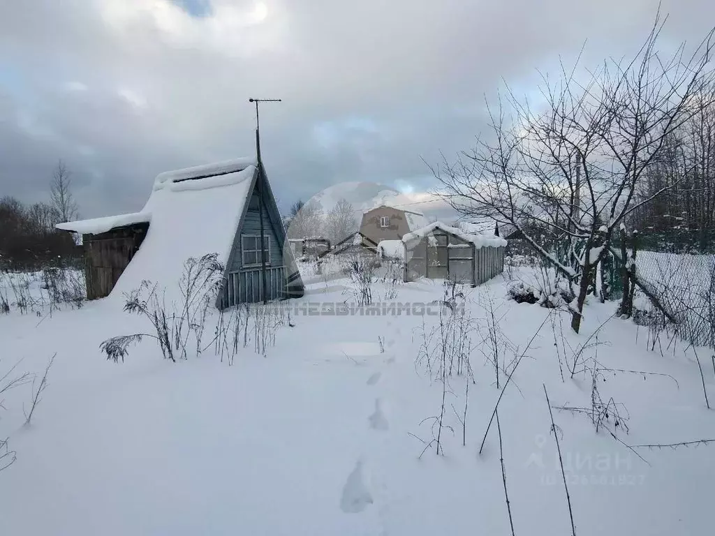 Участок в Новгородская область, Новгородский район, Ермолинское с/пос, ... - Фото 2