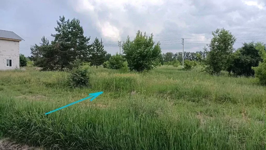 Участок в Алтайский край, Барнаул городской округ, пос. Бельмесево ул. ... - Фото 0