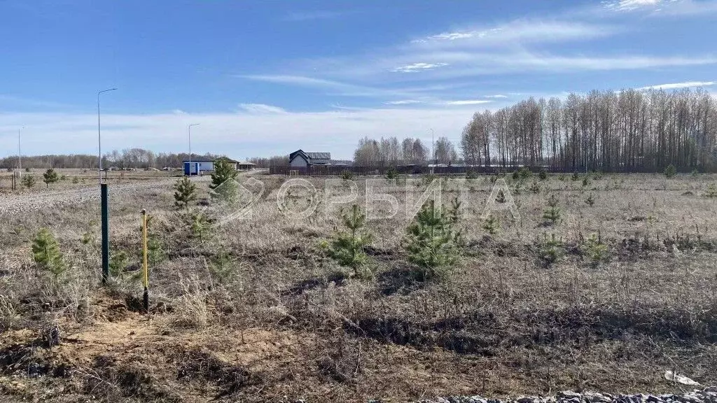 Участок в Тюменская область, Тюменский район, Новокаменский кп ул. ... - Фото 0