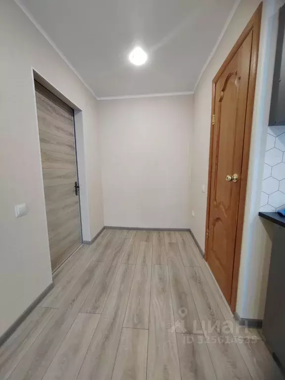 Студия Оренбургская область, Оренбург Промысловый проезд, 21 (18.3 м) - Фото 2