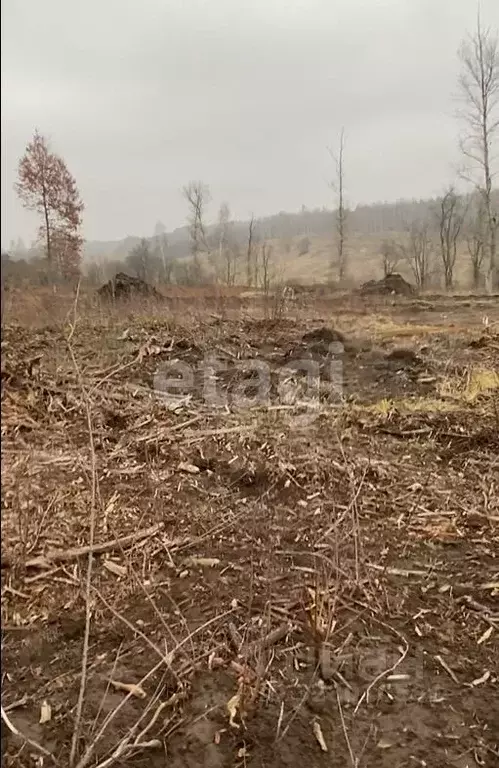 Участок в Курская область, Курский район, Нижнемедведицкий сельсовет, ... - Фото 1