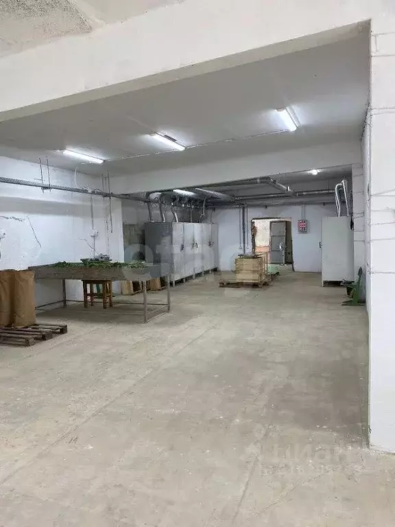 Помещение свободного назначения в Ярославская область, Борисоглебский ... - Фото 1