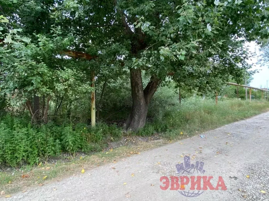 Участок в Краснодарский край, Крымский район, с. Мерчанское ул. Ленина ... - Фото 1