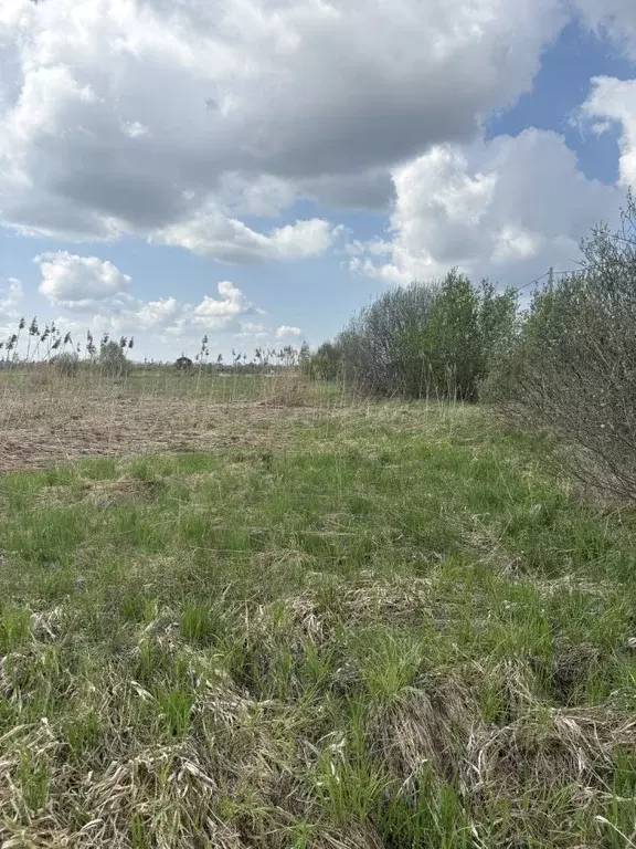 Участок в Костромская область, Кострома ул. Родная (969.0 сот.) - Фото 1