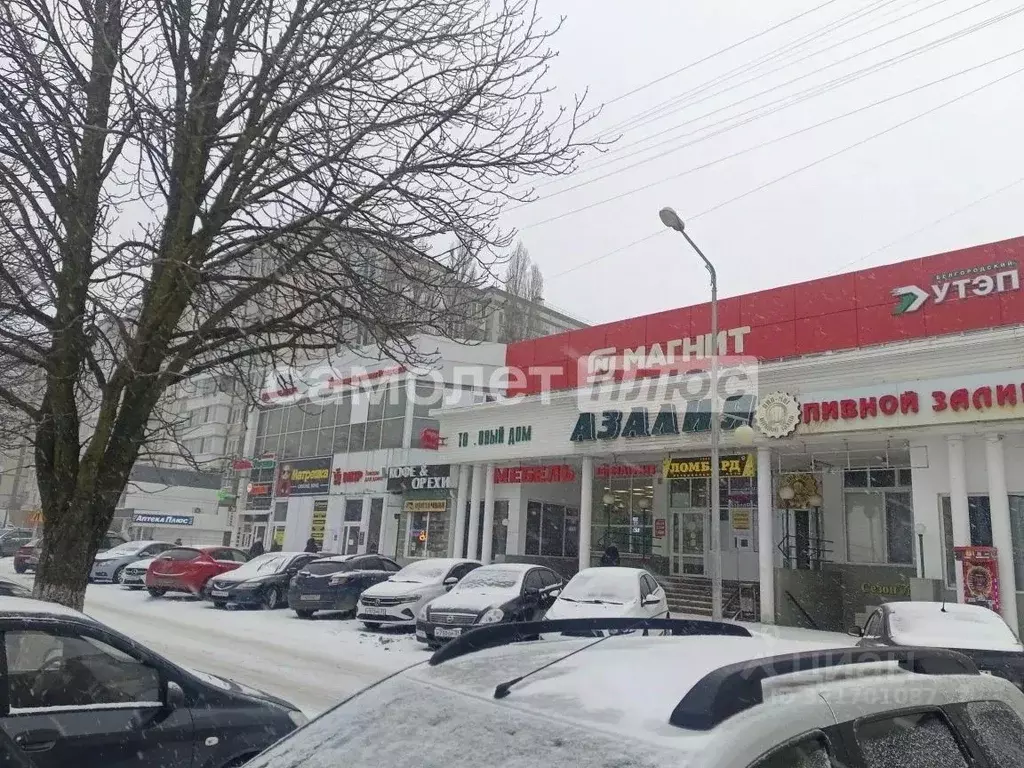 Торговая площадь в Белгородская область, Белгород ул. Губкина, 25А ... - Фото 2