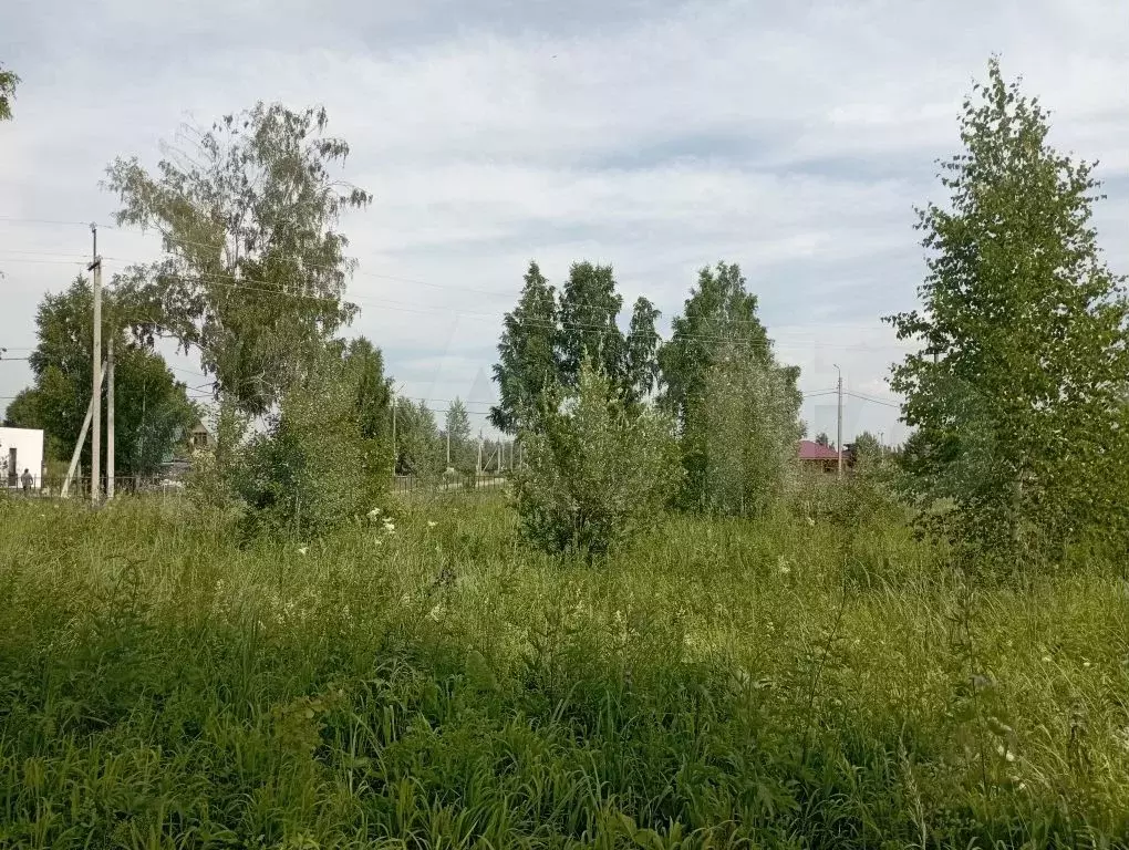 Участок 35 сот. (СНТ, ДНП) - Фото 0