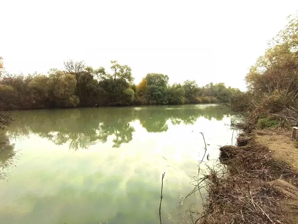 Участок в Краснодарский край, Темрюк  (4.0 сот.) - Фото 2