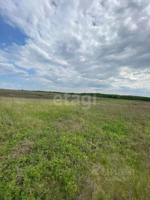 Участок в Белгородская область, Губкин ул. Молодогвардейцев (15.0 ... - Фото 1