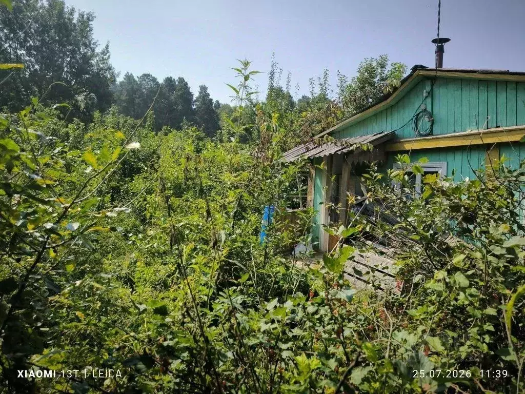 Участок в Свердловская область, Екатеринбург 40 лет Октября СНТ, 125 ... - Фото 1