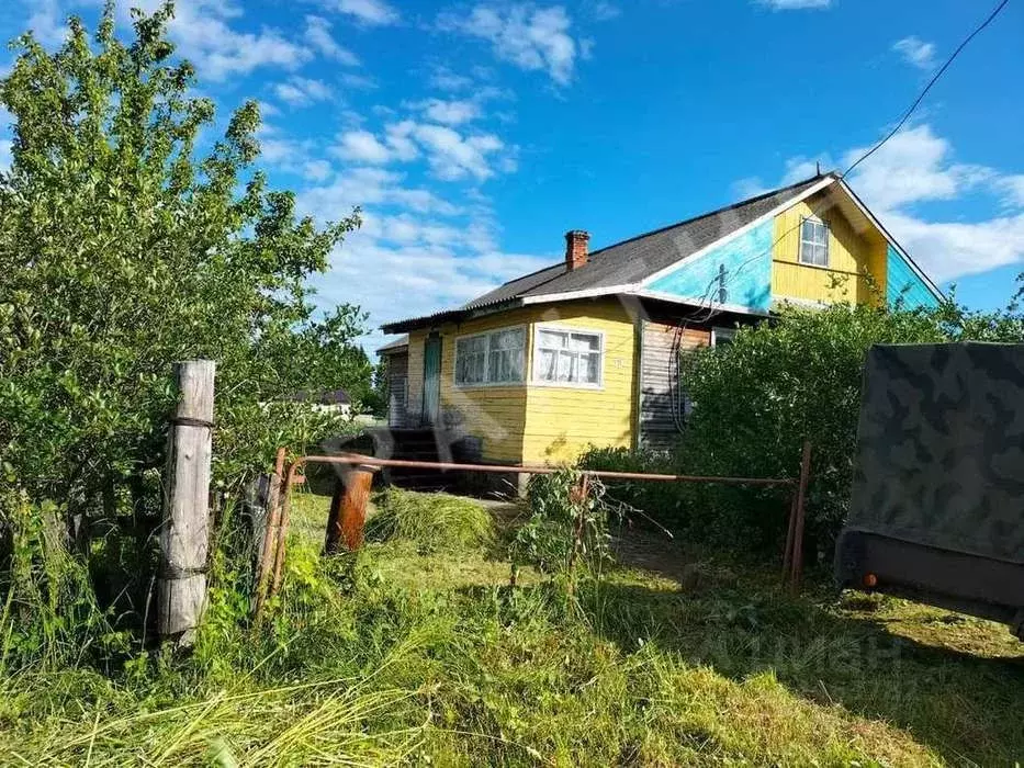 Погода в игумницево междуреченского. Деревня Игумницево Вологодская область. Игумницево Вологодская область.