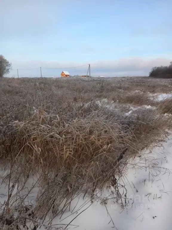 Участок в Владимирская область, Юрьев-Польский район, Красносельское ... - Фото 2