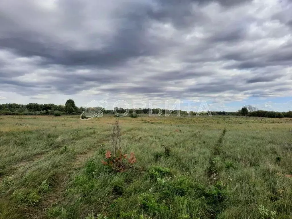 Участок в Курганская область, Куртамышский муниципальный округ, с. ... - Фото 1