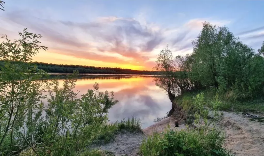 Участок в Новосибирская область, Новосибирский район, Кубовинский ... - Фото 0