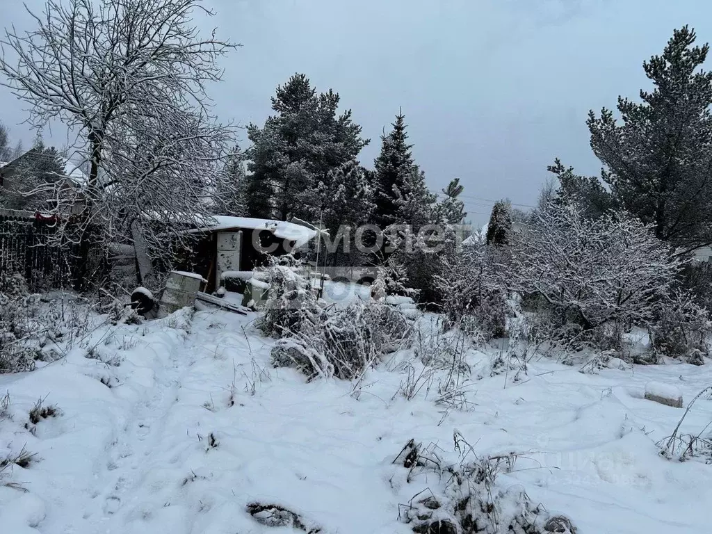 Участок в Ленинградская область, Тосненский район, Ульяновское ... - Фото 1