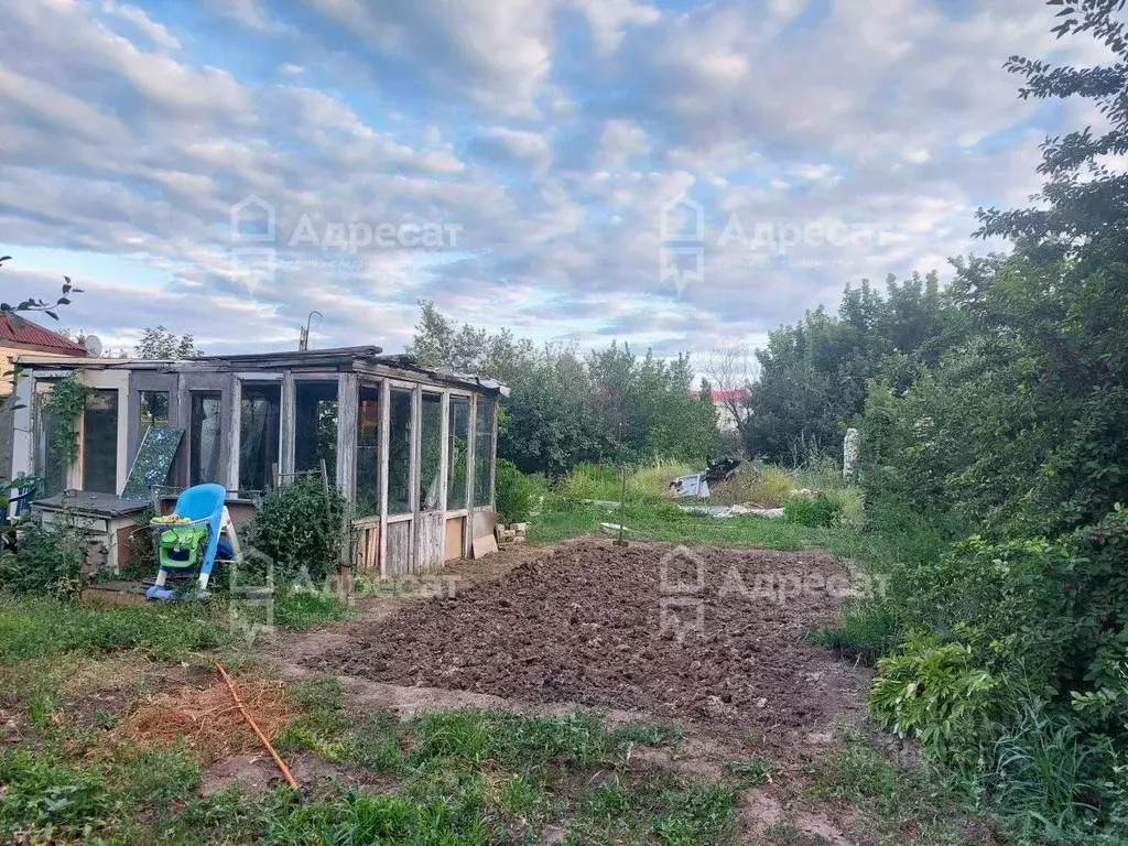 Дом в Волгоградская область, Волгоград Родниковая ул. (45 м) - Фото 1