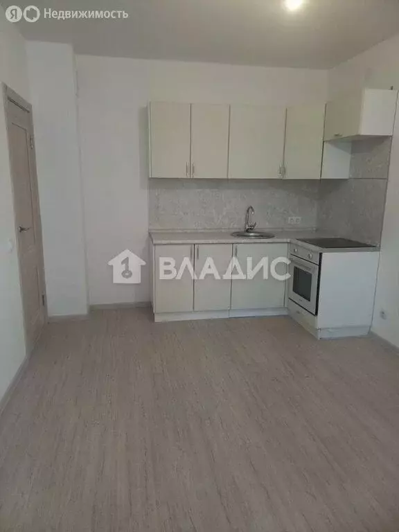 1-комнатная квартира: деревня Анкудиновка, Русская улица, 3 (40.2 м) - Фото 0