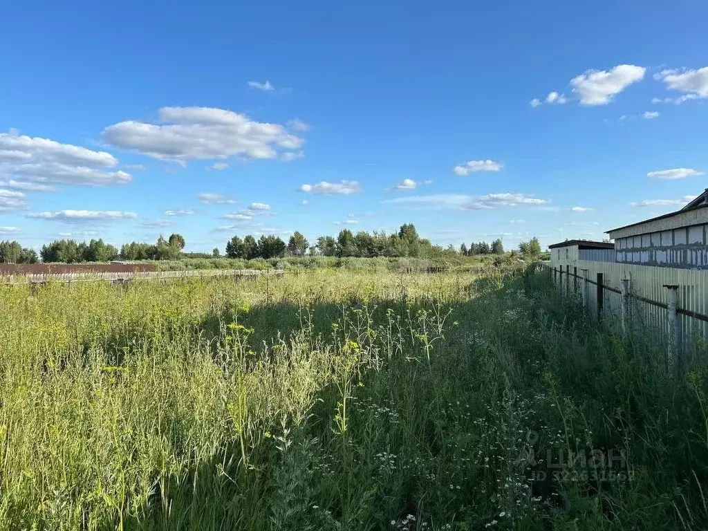 Участок в Курганская область, Курган Золотой Подсолнух СНТ, 14 (10.0 ... - Фото 1