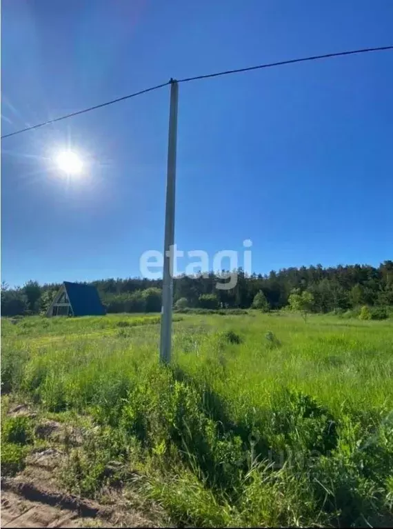 Участок в Татарстан, Елабужский район, Поспеловское с/пос, с. Мальцево ... - Фото 1