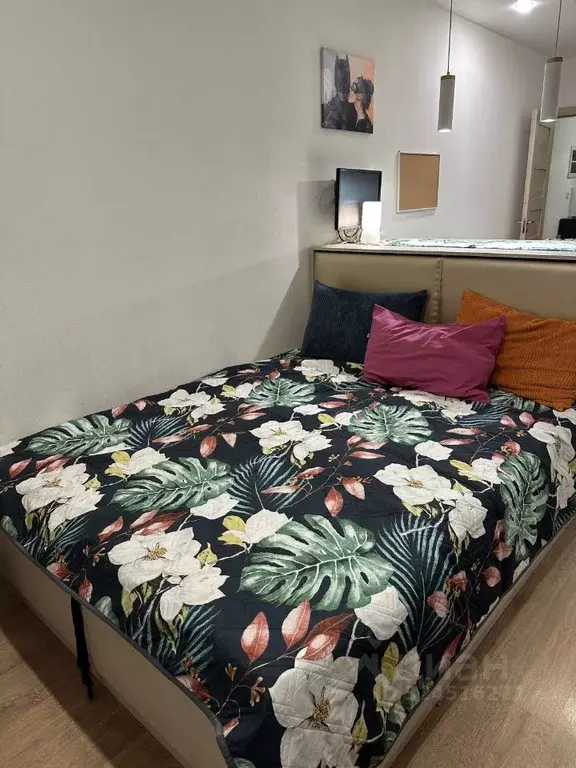 Студия Санкт-Петербург просп. Ветеранов, 171к4 (23.4 м) - Фото 2