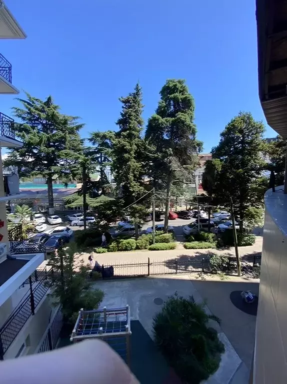 3-к кв. Краснодарский край, Сочи ул. Демократическая, 43 (95.0 м) - Фото 2