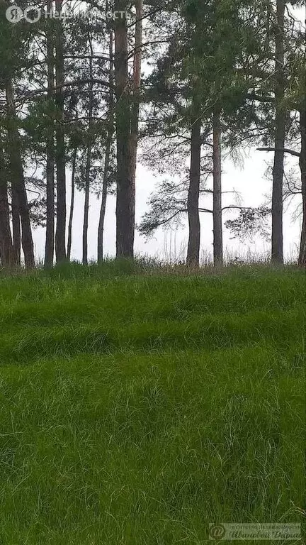 Участок в посёлок Западный, Западная улица (18 м) - Фото 1