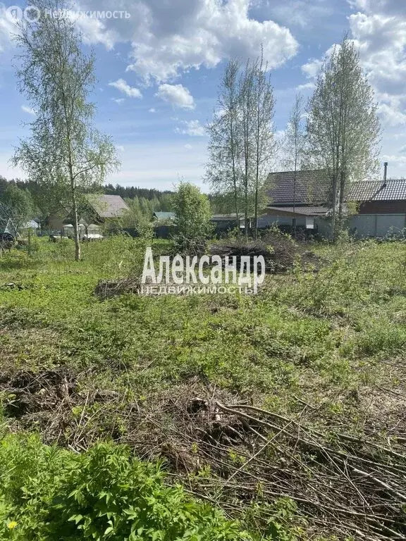 Участок в Ларионовское сельское поселение, садоводческое ... - Фото 1