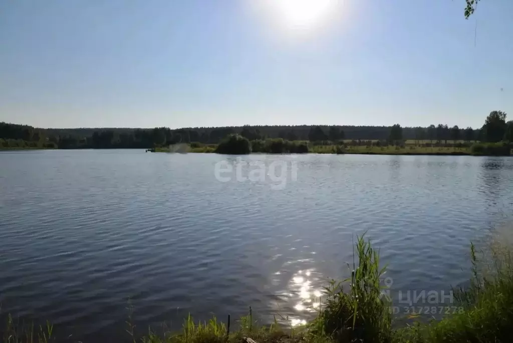 Участок в Свердловская область, Екатеринбург Шабровские дачи жилой ... - Фото 1