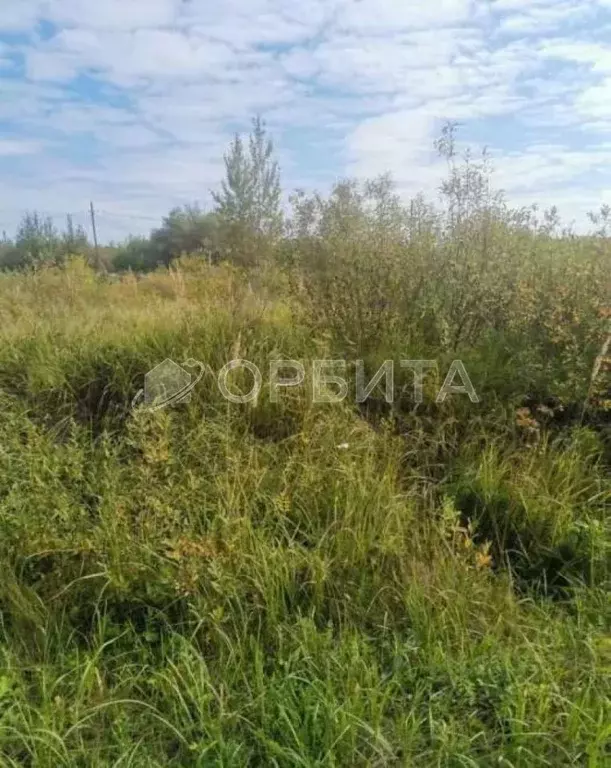 Участок в Тюменская область, Тюмень Садовое товарищество Липовый ... - Фото 2