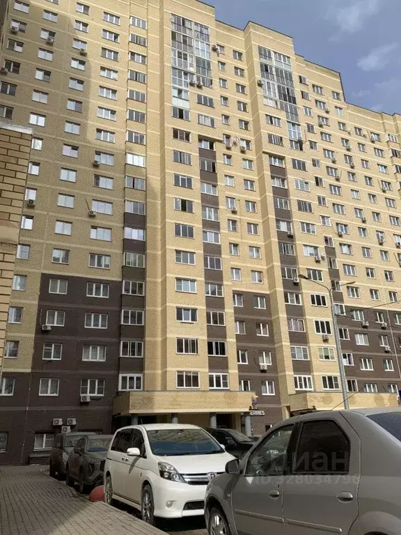 Студия Московская область, Ногинск Богородский городской округ, ул. ... - Фото 1