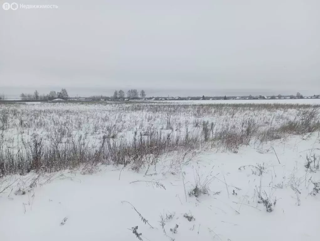 Участок в Костромской район, Шунгенское сельское поселение, деревня ... - Фото 0