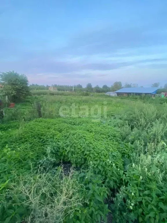 Участок в Кемеровская область, Кемеровский муниципальный округ, с. ... - Фото 1