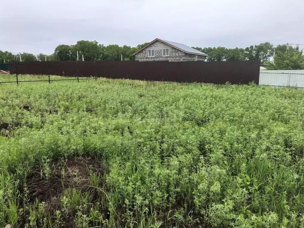 Участок в Амурская область, Благовещенский район, с. Кантон-Коммуна ... - Фото 1