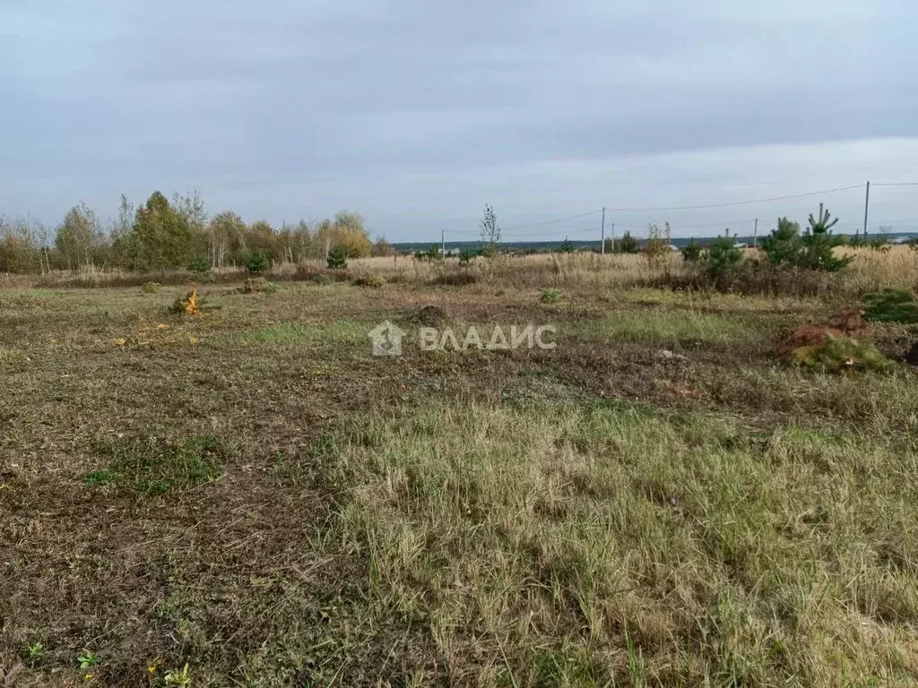 Участок в Тамбовская область, Тамбов ул. Имени Марины Цветаевой (7.5 ... - Фото 1